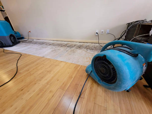 Professional Water Removal technician working in Elmendorf, TX